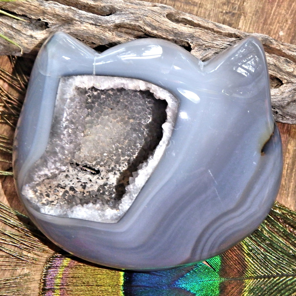 Gorgeous Druzy Geode & Blue Agate Precious Cat Head Carving 3 - Earth Family Crystals