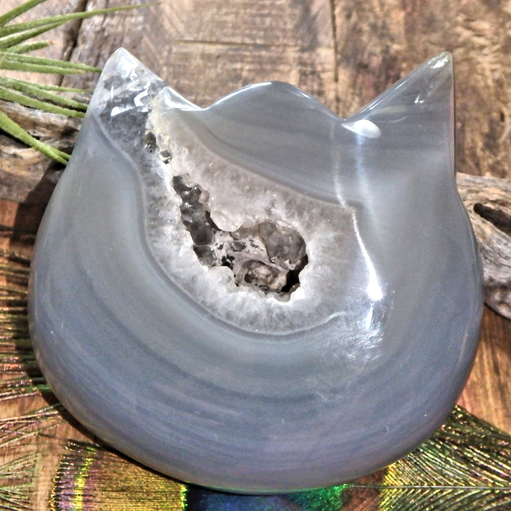 Gorgeous Druzy Geode & Blue Agate Precious Cat Head Carving 2 - Earth Family Crystals