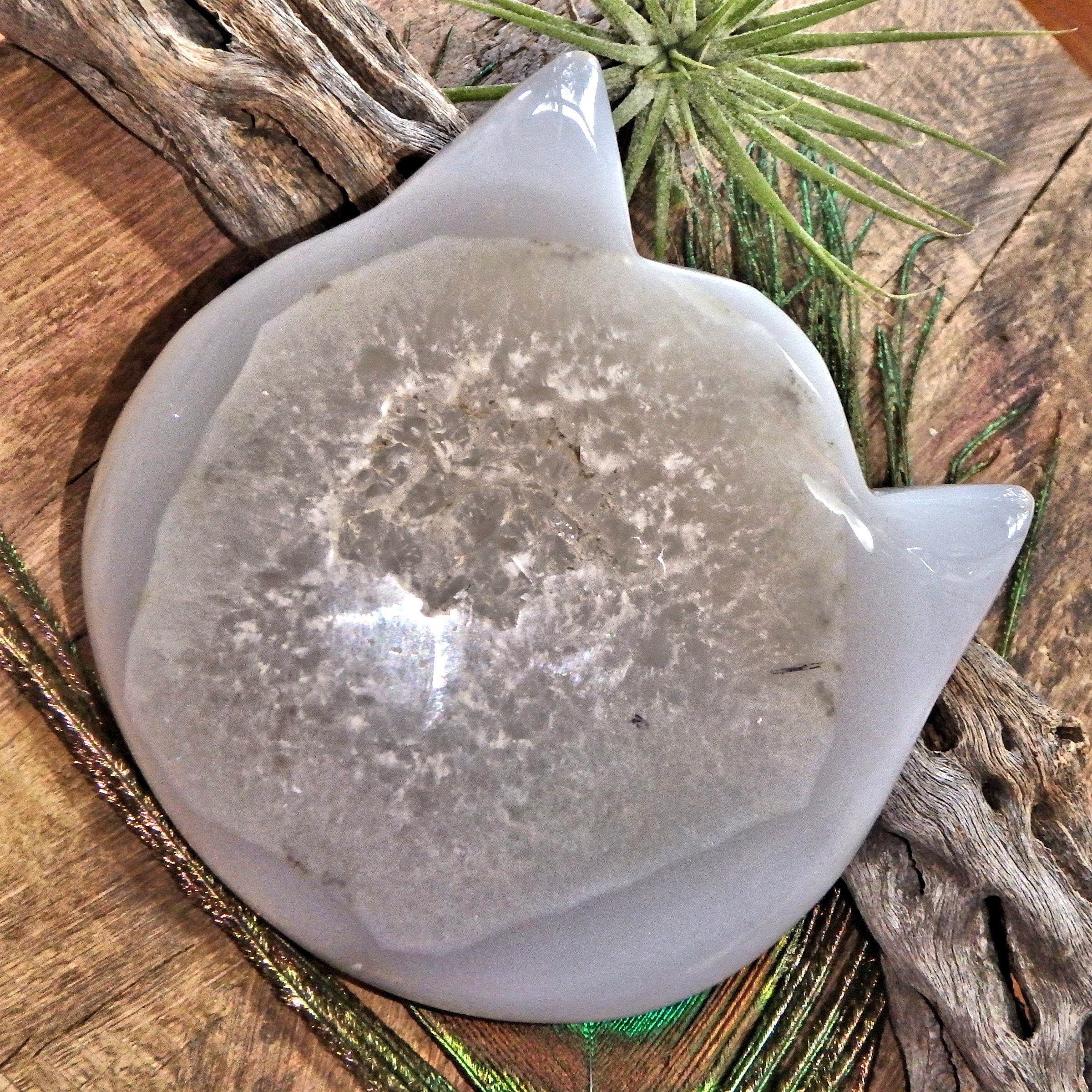 Gorgeous Druzy Geode & Blue Agate Precious Cat Head Carving 1 - Earth Family Crystals