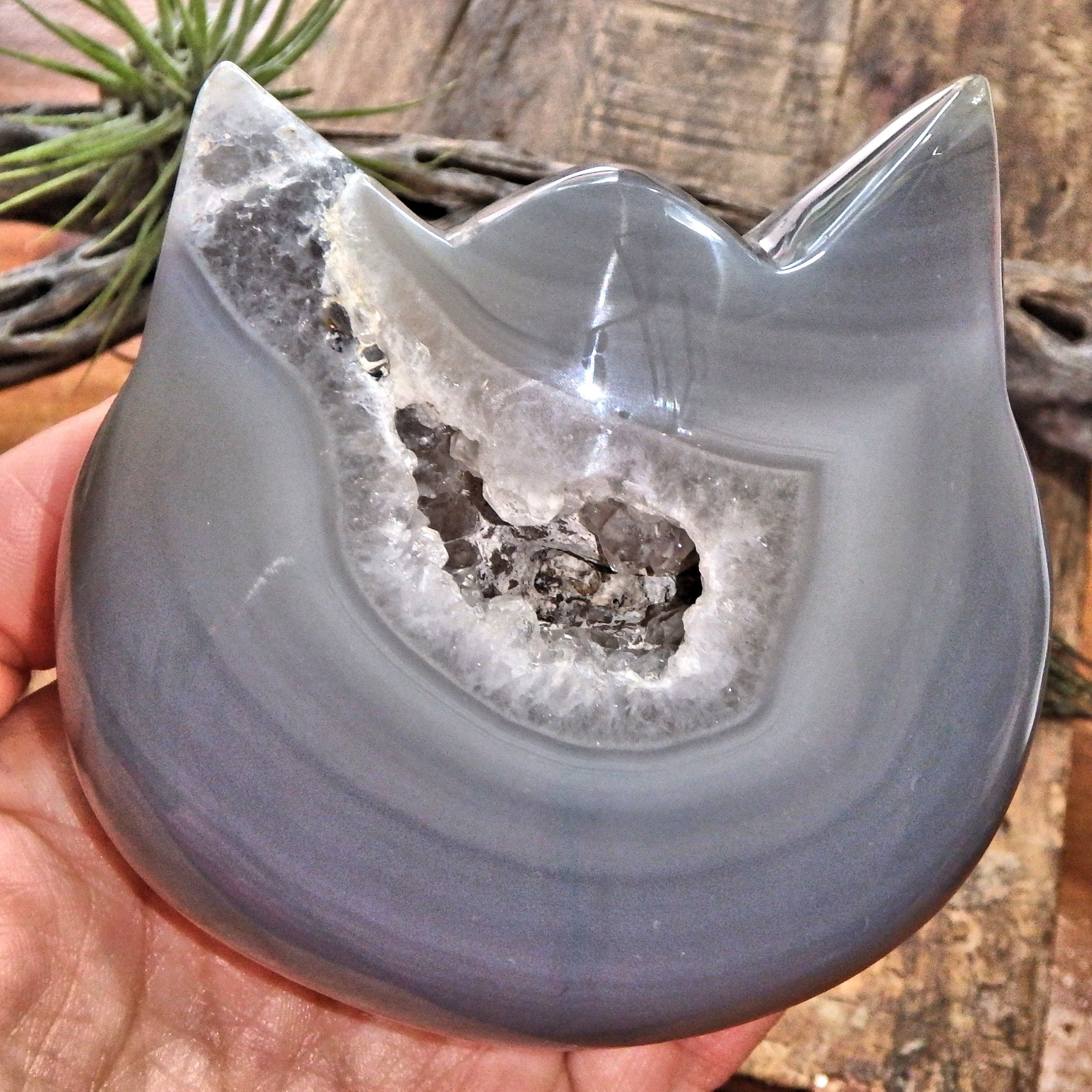 Gorgeous Druzy Geode & Blue Agate Precious Cat Head Carving 2 - Earth Family Crystals