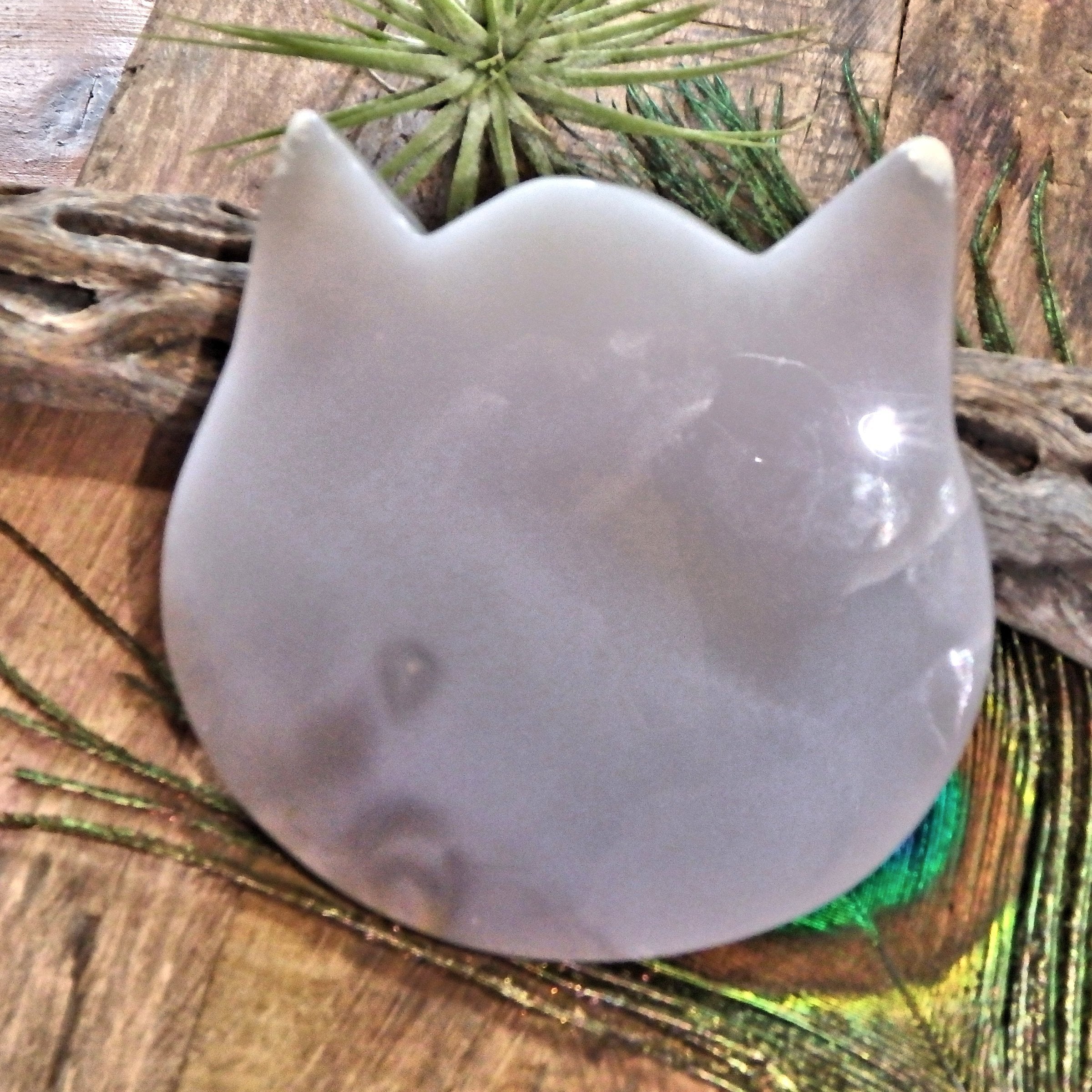 Gorgeous Druzy Geode & Blue Agate Precious Cat Head Carving 1 - Earth Family Crystals