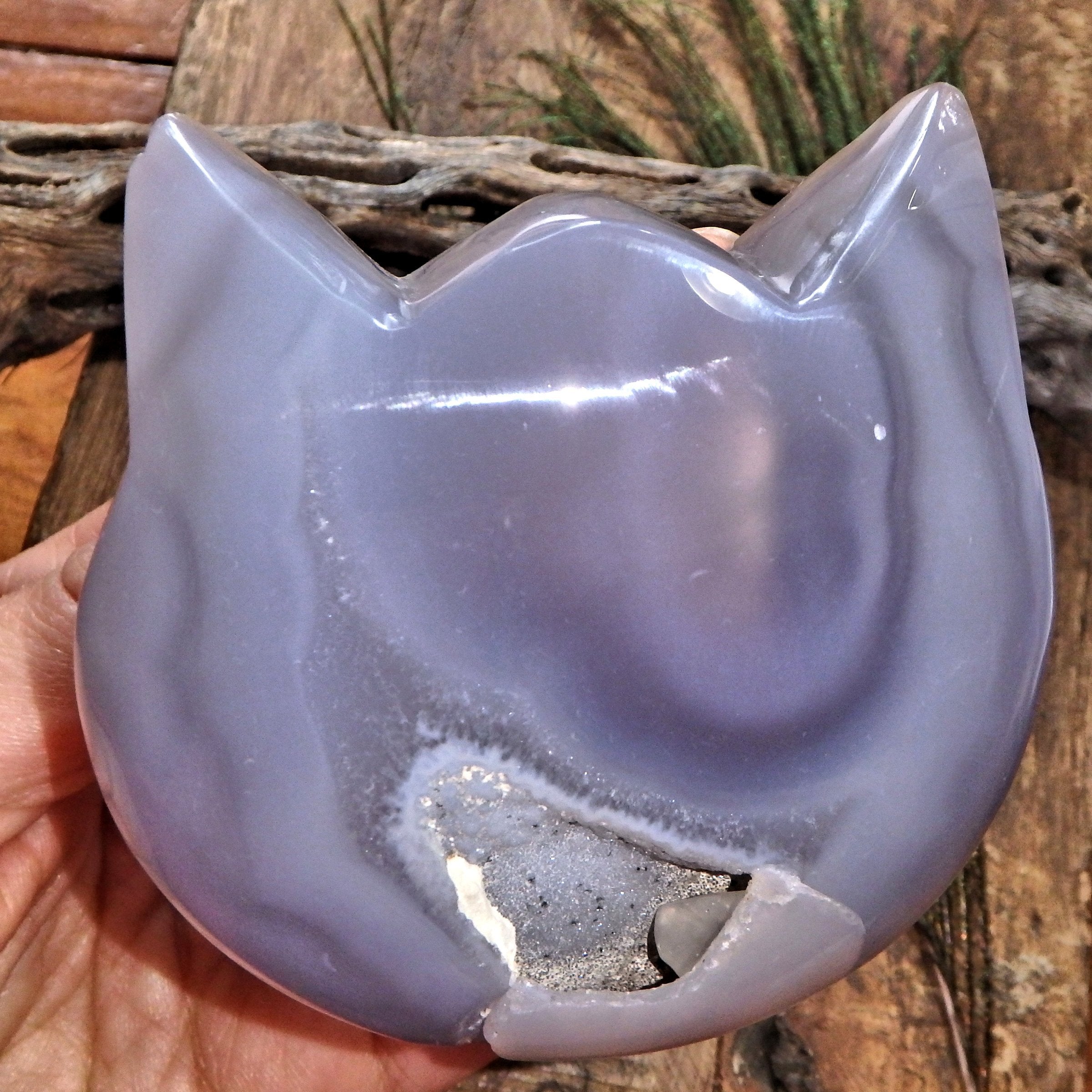 Gorgeous Druzy Geode & Blue Agate Precious Cat Head Carving 4 - Earth Family Crystals