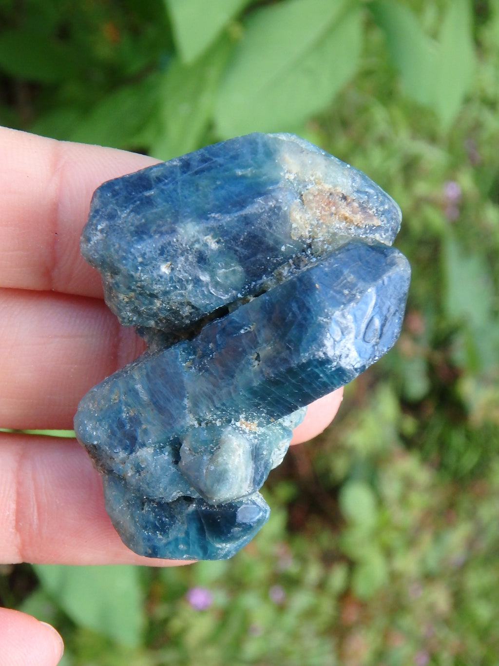 Unique Multi Point Blue Apatite Cluster From Brazil - Earth Family Crystals