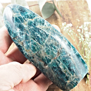 Deep Blue Apatite Standing Display Carving From Madagascar *REDUCED* - Earth Family Crystals