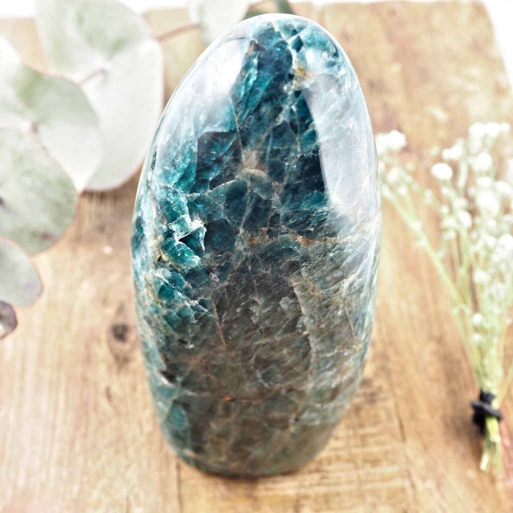 Deep Blue Apatite Standing Display Carving From Madagascar *REDUCED* - Earth Family Crystals