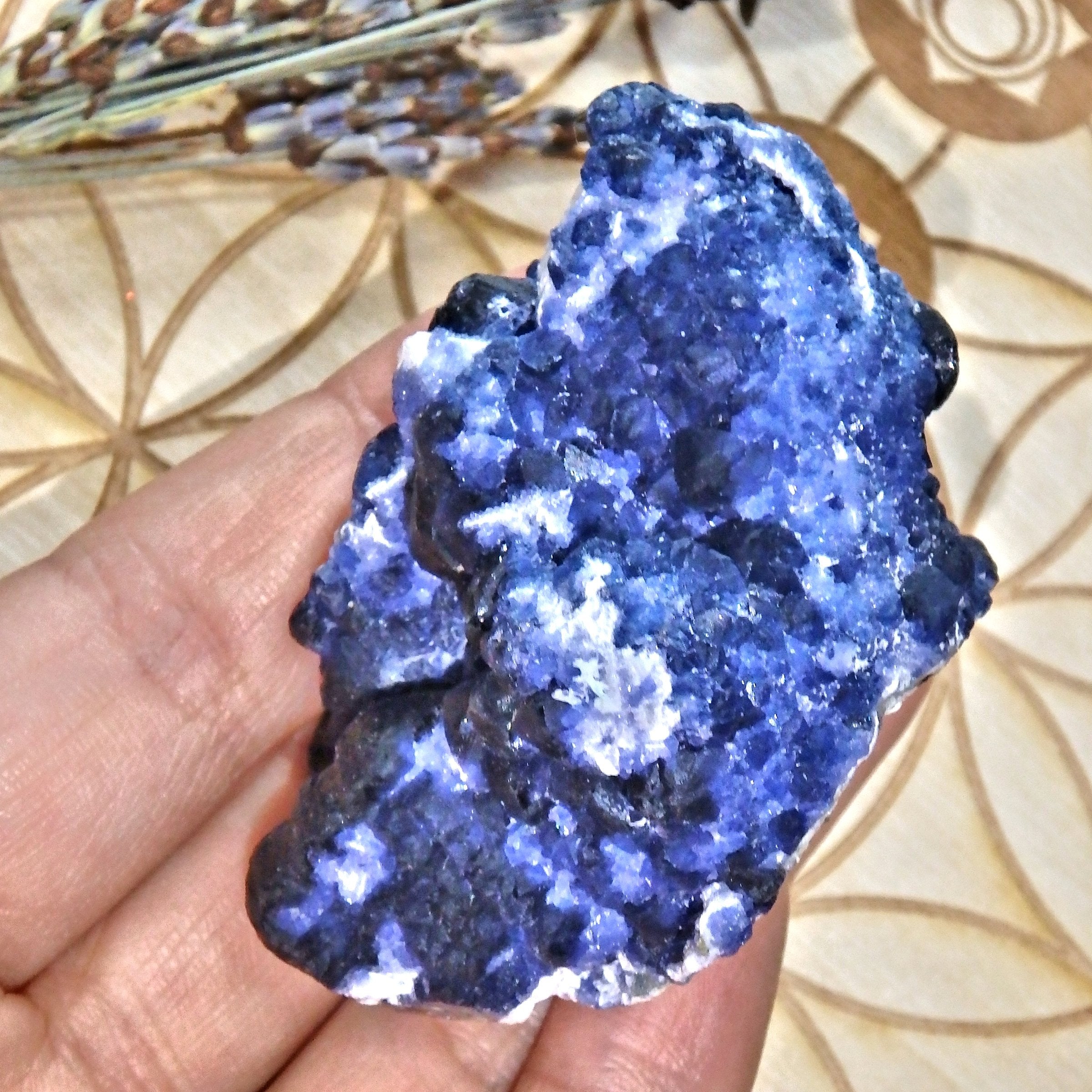 Unusual Natural Cobalt Blue Fluorite Crystals On Creamy White Matrix - Earth Family Crystals