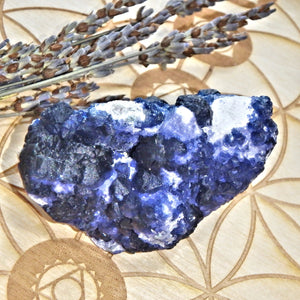 Unusual Natural Cobalt Blue Fluorite Crystals On Creamy White Matrix - Earth Family Crystals