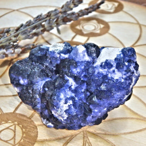 Unusual Natural Cobalt Blue Fluorite Crystals On Creamy White Matrix - Earth Family Crystals