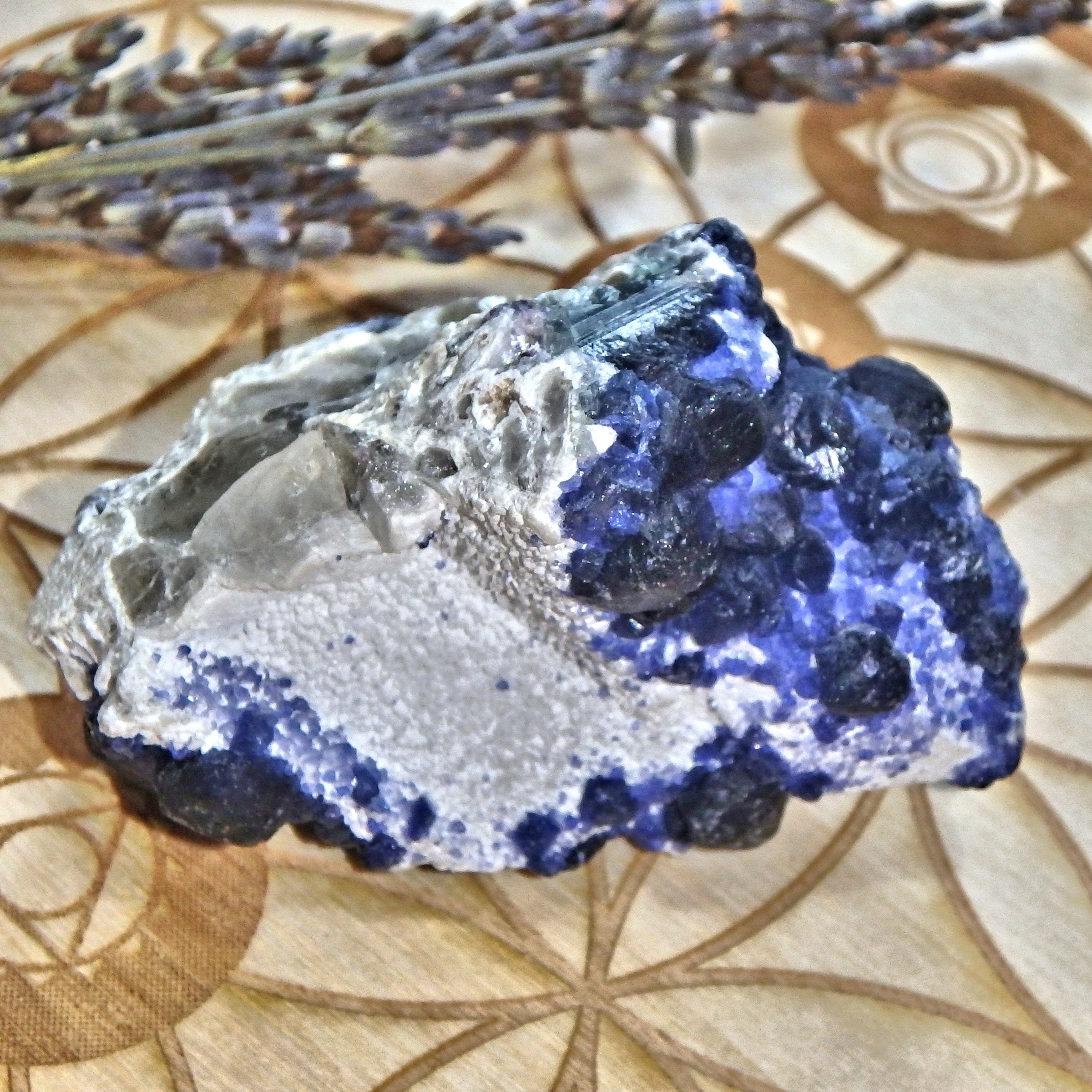 Unusual Natural Cobalt Blue Fluorite Crystals On Creamy White Matrix - Earth Family Crystals