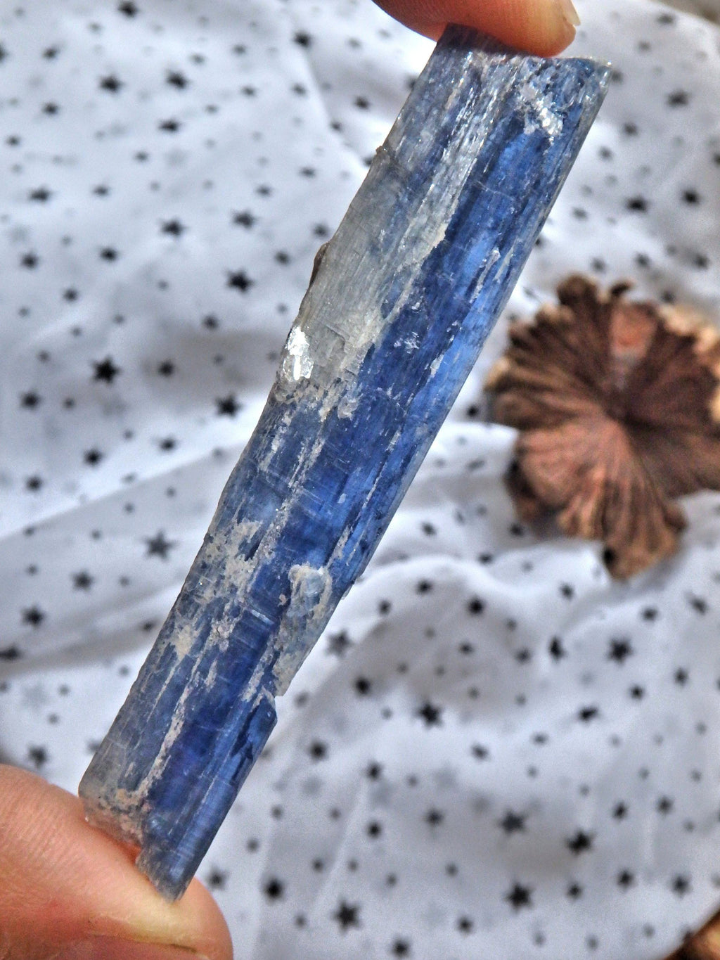 Blade of Gemmy Blue Kyanite From Brazil - Earth Family Crystals