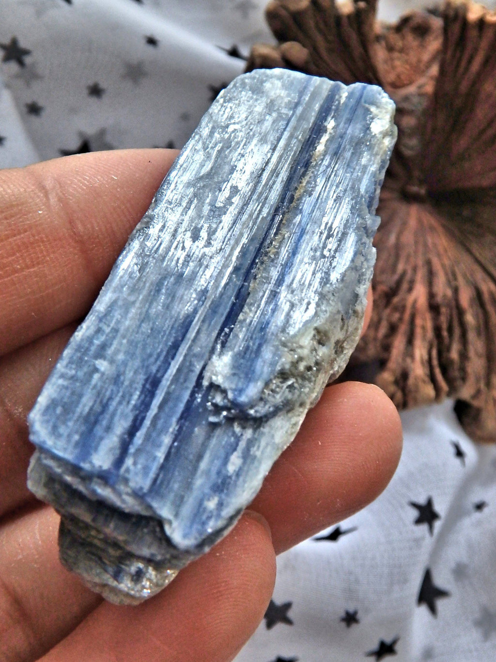 Cluster of Gemmy Blue Kyanite From Brazil - Earth Family Crystals