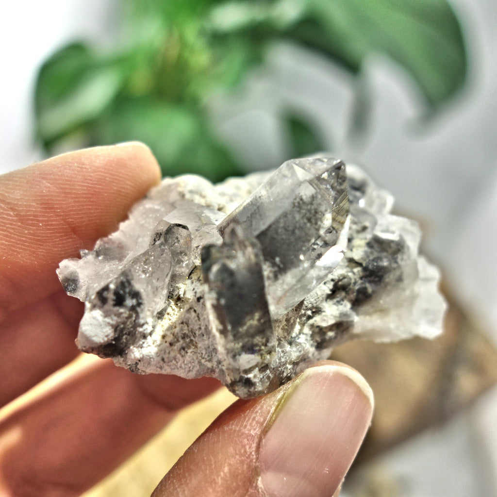 Blue Phantom Quartz Cluster From Arkansas - Earth Family Crystals