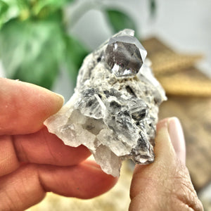 Blue Phantom Quartz Cluster From Arkansas - Earth Family Crystals