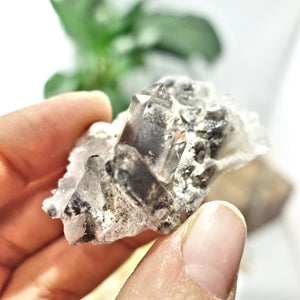 Blue Phantom Quartz Cluster From Arkansas - Earth Family Crystals