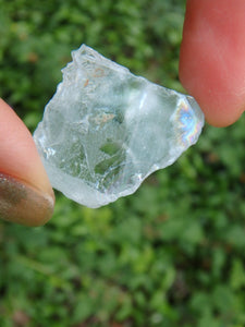 Rainbow Loaded Natural Baby Blue Topaz In Collectors Box - Earth Family Crystals