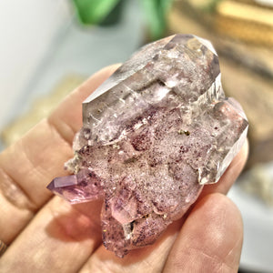 Incredible Elestial DT Brandberg Amethyst Cluster Specimen From Namibia - Earth Family Crystals