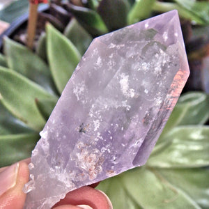 Natural Lavender Brandberg Amethyst Point From Namibia - Earth Family Crystals