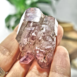Incredible Elestial DT Brandberg Amethyst Cluster Specimen From Namibia - Earth Family Crystals
