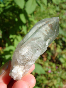 Green Chlorite Natural Brazilian Quartz Point 1 - Earth Family Crystals