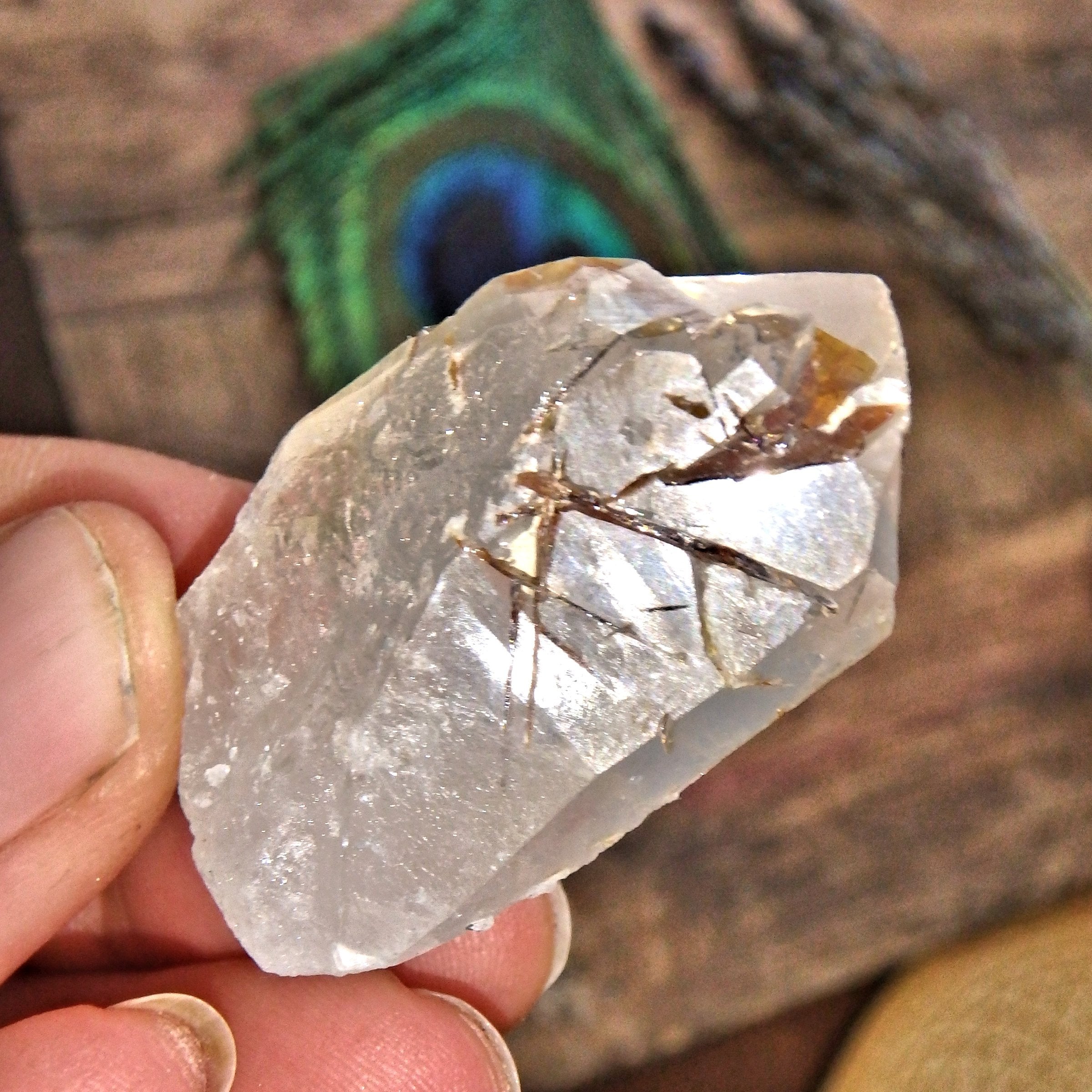 Golden Brookite Blades Nestled in Brazilian Quartz Point 2 - Earth Family Crystals
