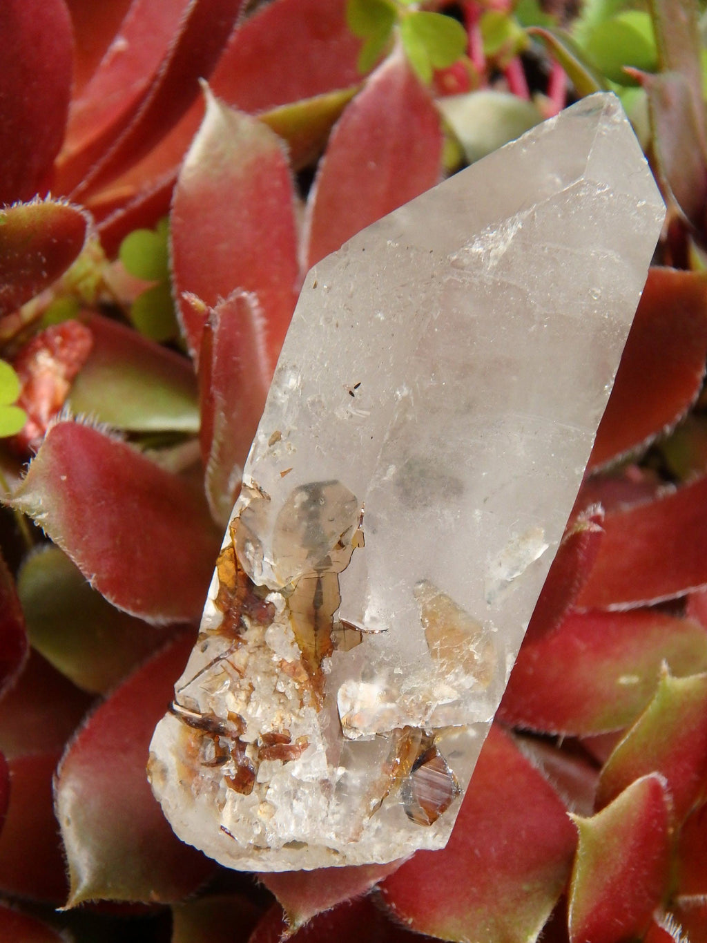 Brazilian Golden Brookite Quartz Point 1 - Earth Family Crystals