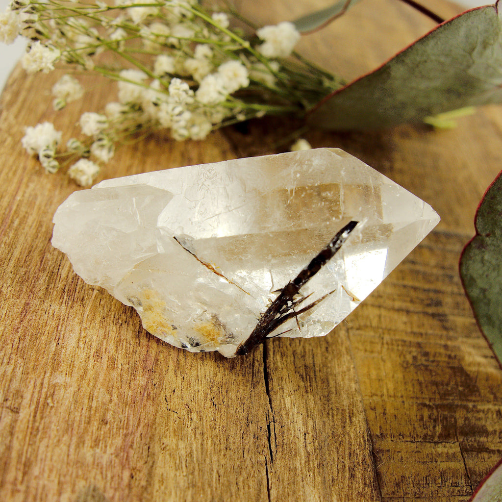 Cute Golden Brookite Blades Nestled in Brazilian Quartz Point #2 - Earth Family Crystals