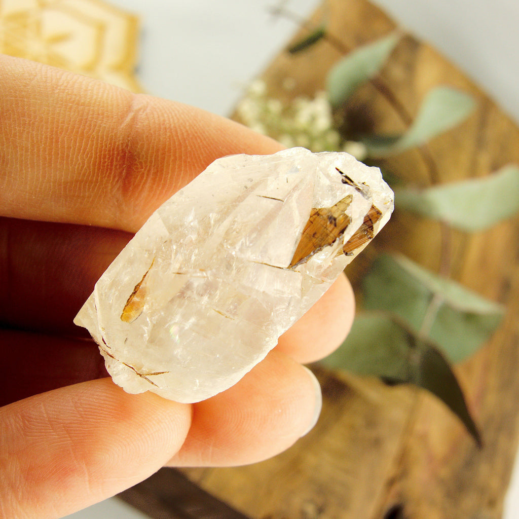 Cute Golden Brookite Blades Nestled in Brazilian Quartz Point #3 - Earth Family Crystals