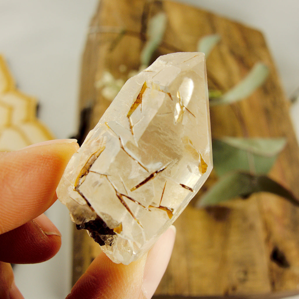 Cute Golden Brookite Blades Nestled in Brazilian Quartz Point #1 - Earth Family Crystals