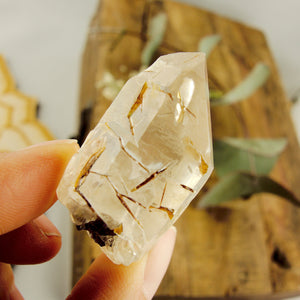 Cute Golden Brookite Blades Nestled in Brazilian Quartz Point #1 - Earth Family Crystals