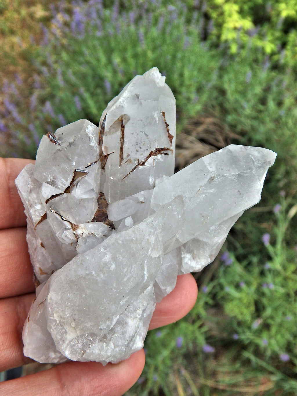 Brazilian Quartz & Golden Brookite Cluster Specimen1 - Earth Family Crystals
