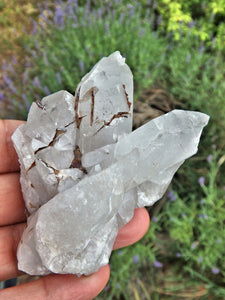 Brazilian Quartz & Golden Brookite Cluster Specimen1 - Earth Family Crystals