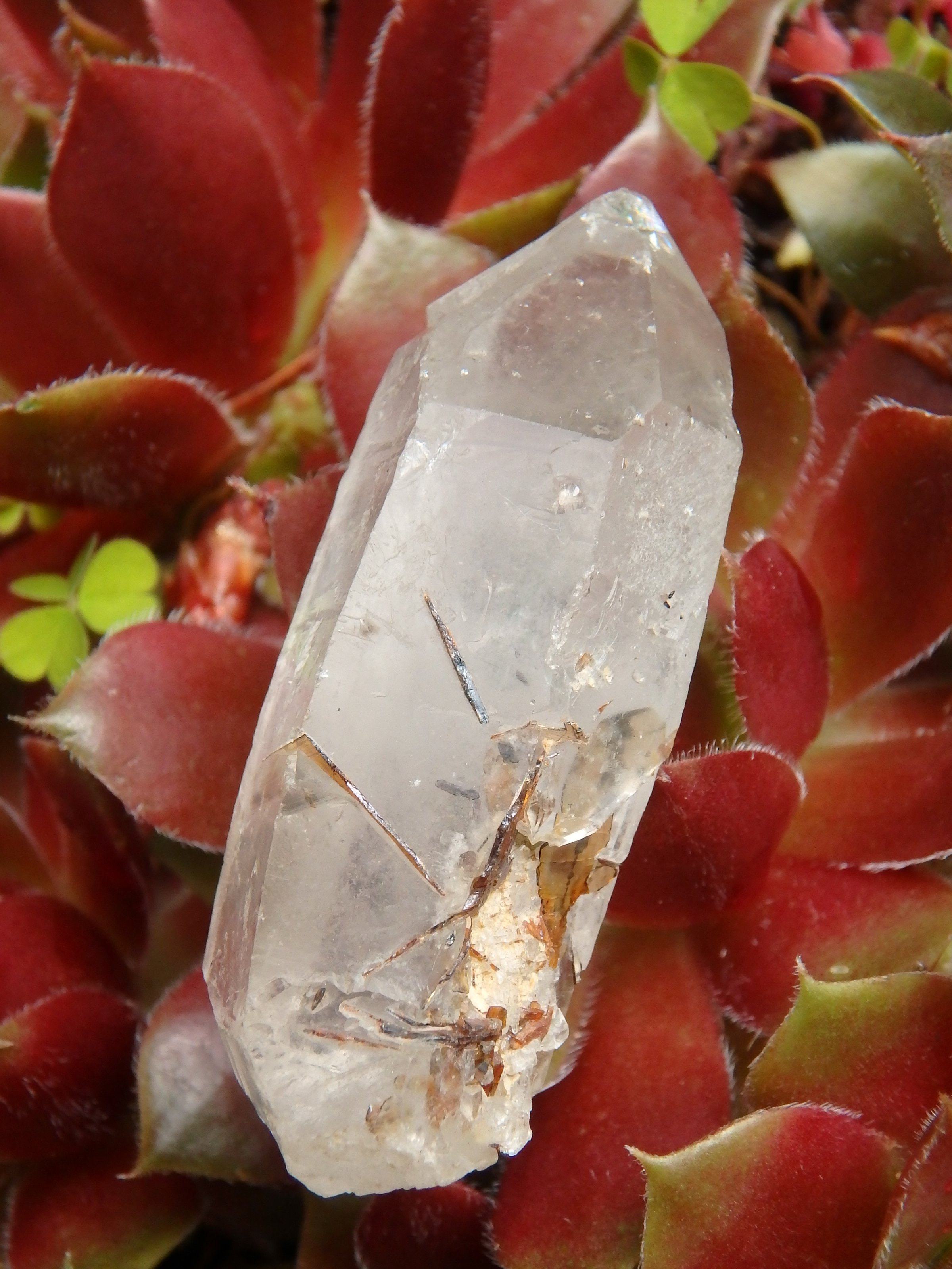 Brazilian Golden Brookite Quartz Point 1 - Earth Family Crystals