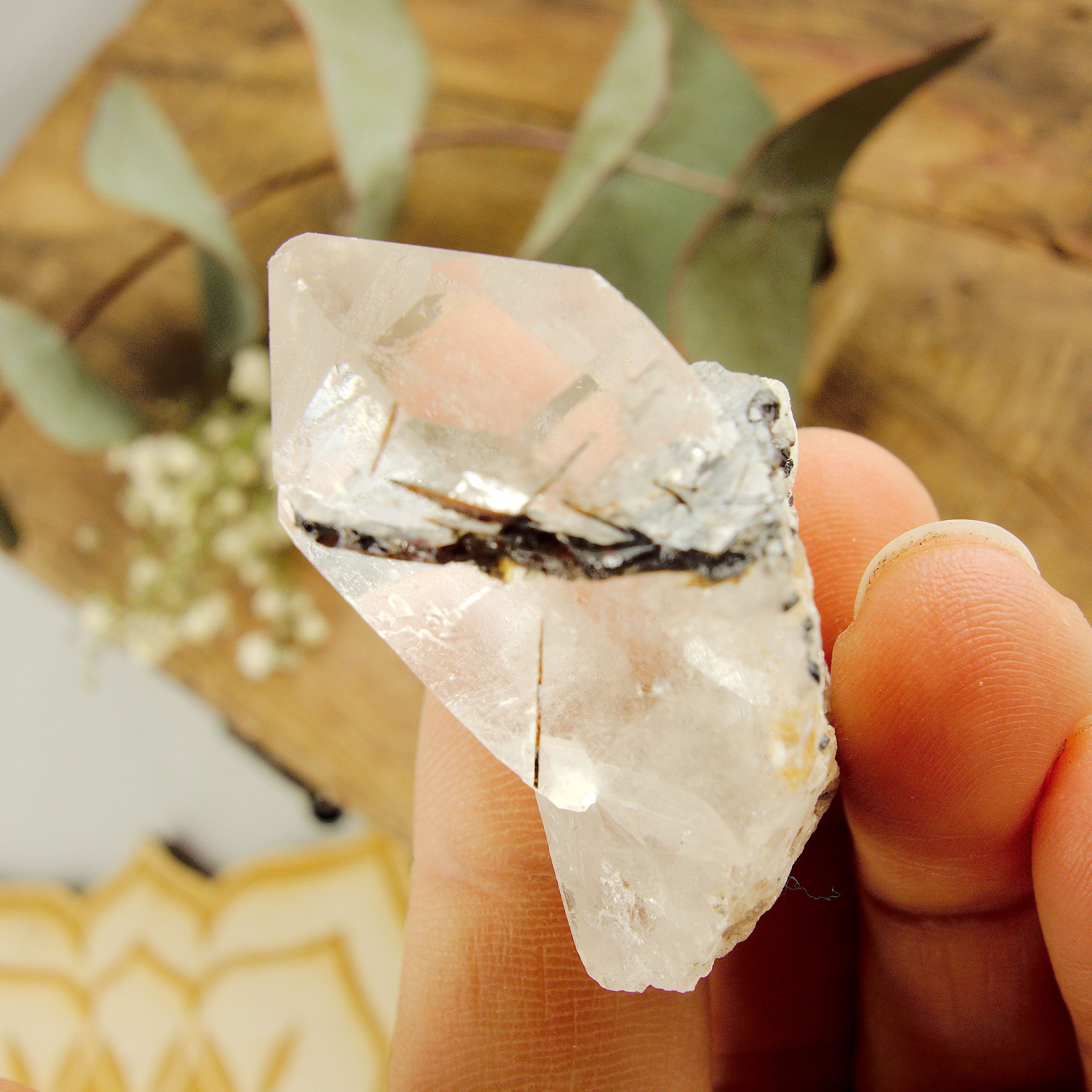 Cute Golden Brookite Blades Nestled in Brazilian Quartz Point #2 - Earth Family Crystals