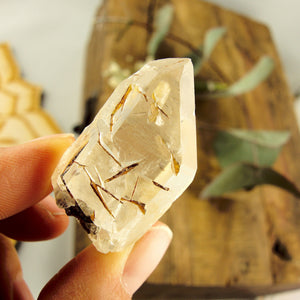Cute Golden Brookite Blades Nestled in Brazilian Quartz Point #1 - Earth Family Crystals