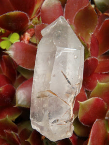 Brazilian Golden Brookite Quartz Point 1 - Earth Family Crystals