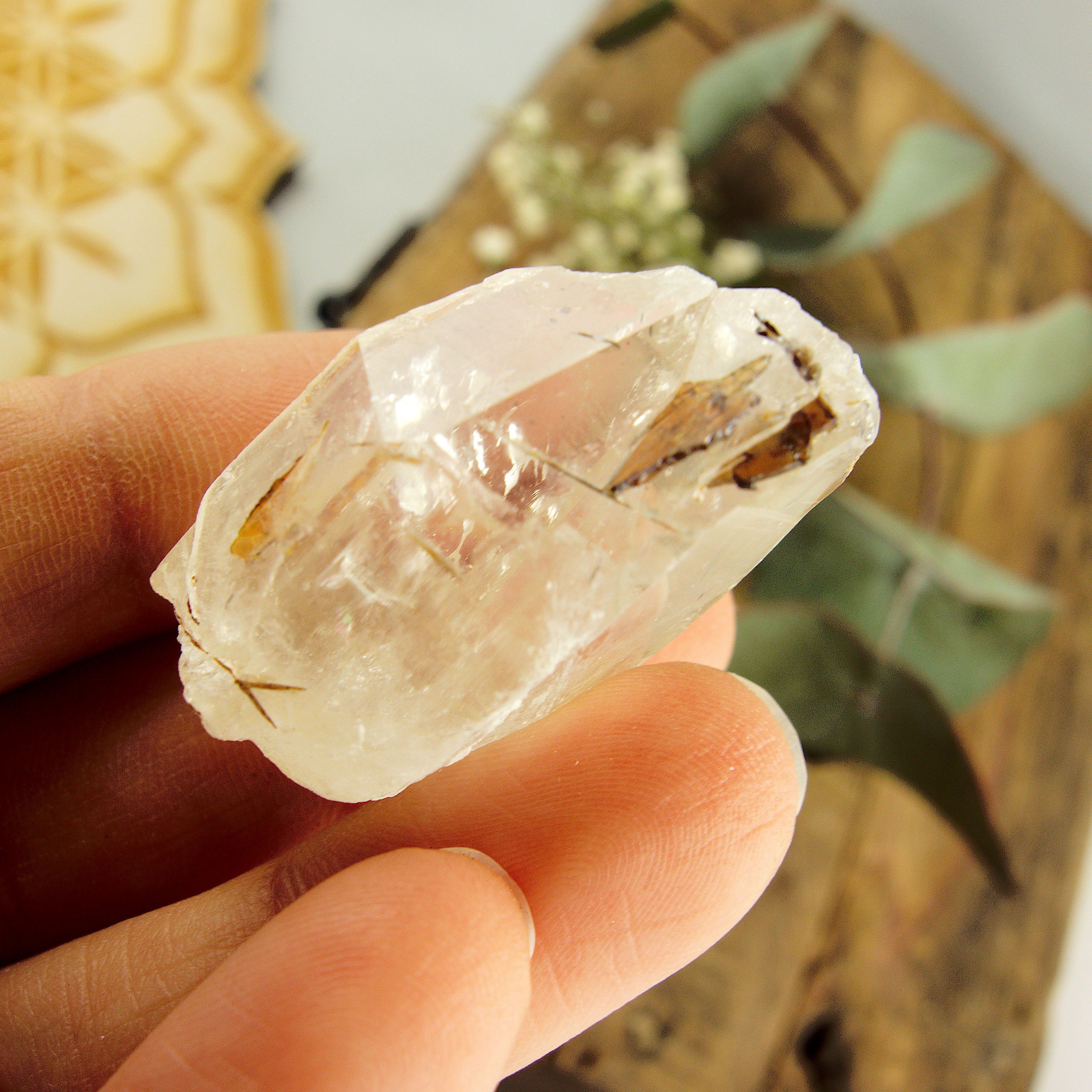 Cute Golden Brookite Blades Nestled in Brazilian Quartz Point #3 - Earth Family Crystals