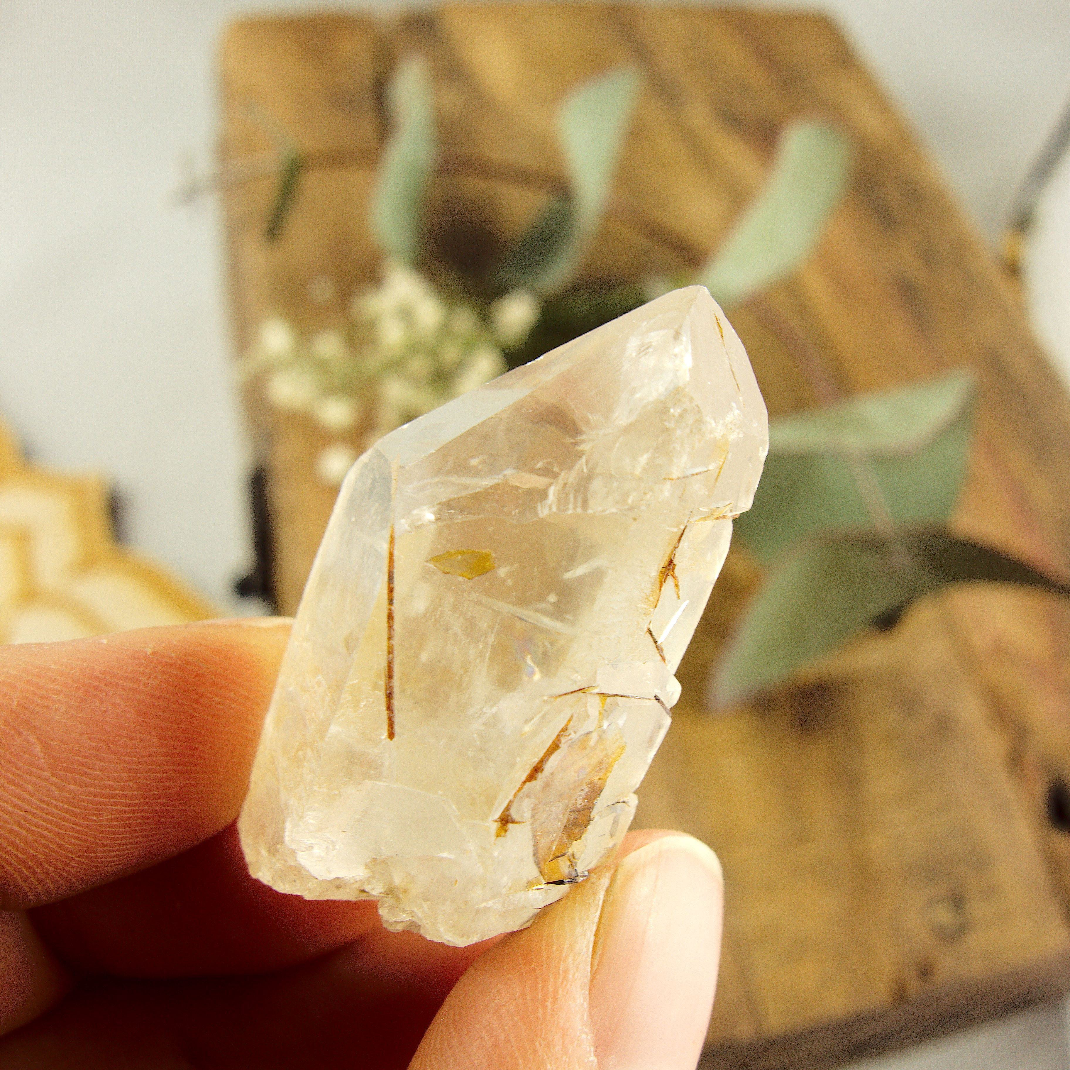 Cute Golden Brookite Blades Nestled in Brazilian Quartz Point #1 - Earth Family Crystals