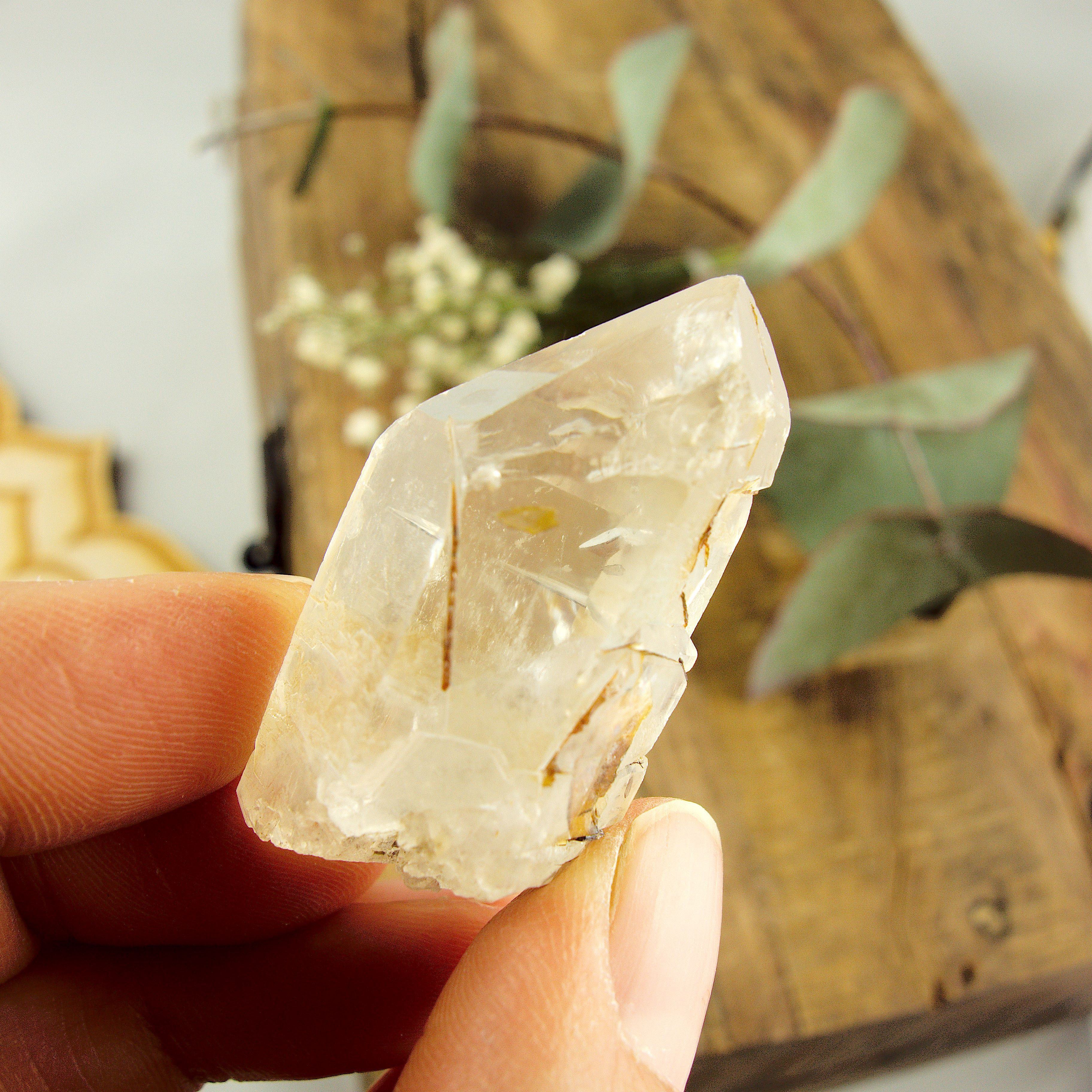 Cute Golden Brookite Blades Nestled in Brazilian Quartz Point #1 - Earth Family Crystals