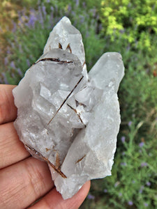 Brazilian Quartz & Golden Brookite Cluster Specimen1 - Earth Family Crystals