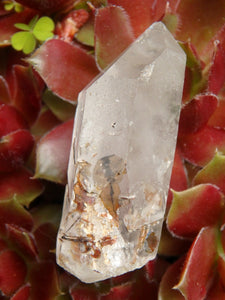 Brazilian Golden Brookite Quartz Point 1 - Earth Family Crystals