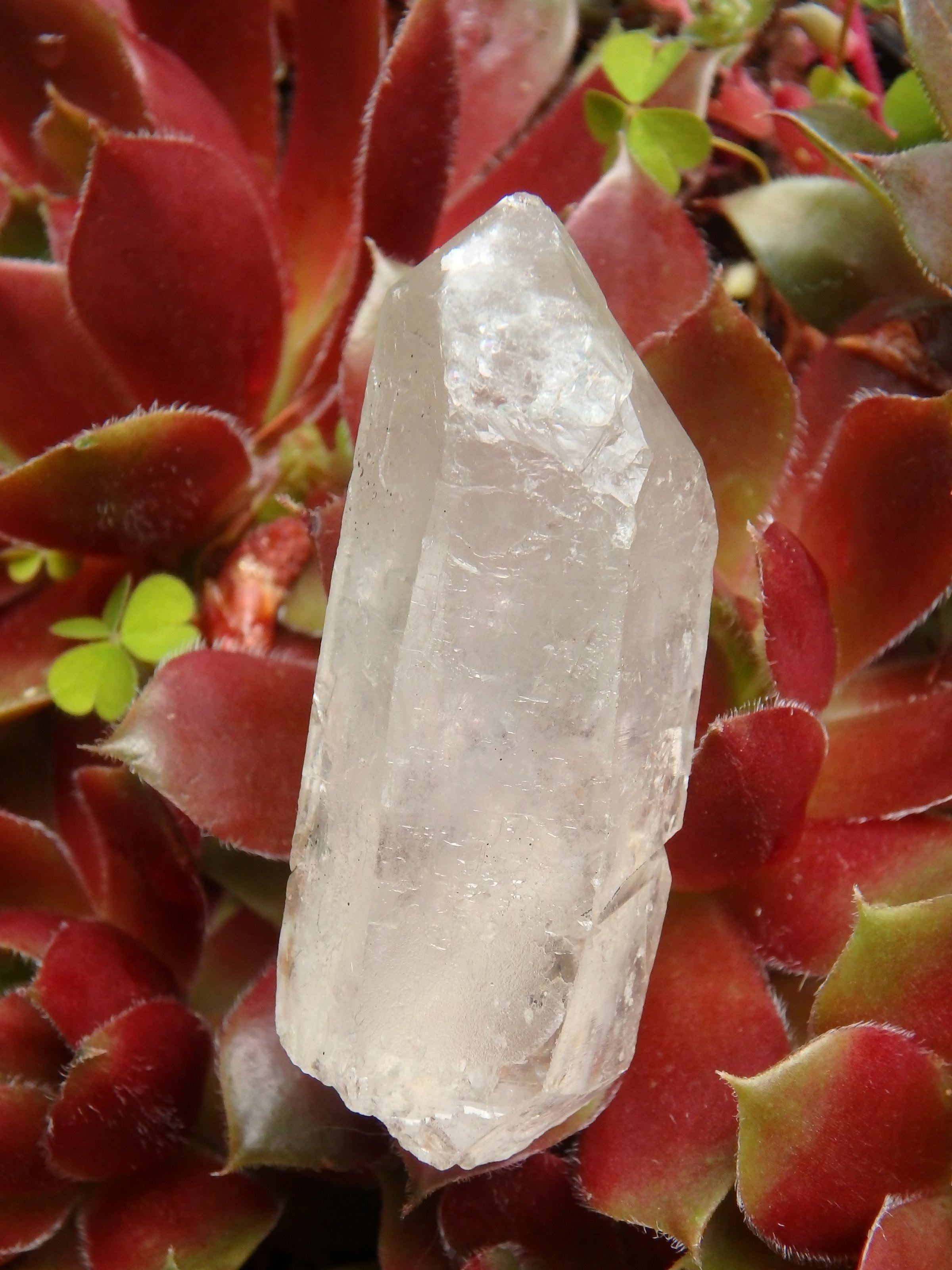 Brazilian Golden Brookite Quartz Point 1 - Earth Family Crystals