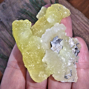 Uplifting Brucite Natural Collectors Specimen 2 - Earth Family Crystals