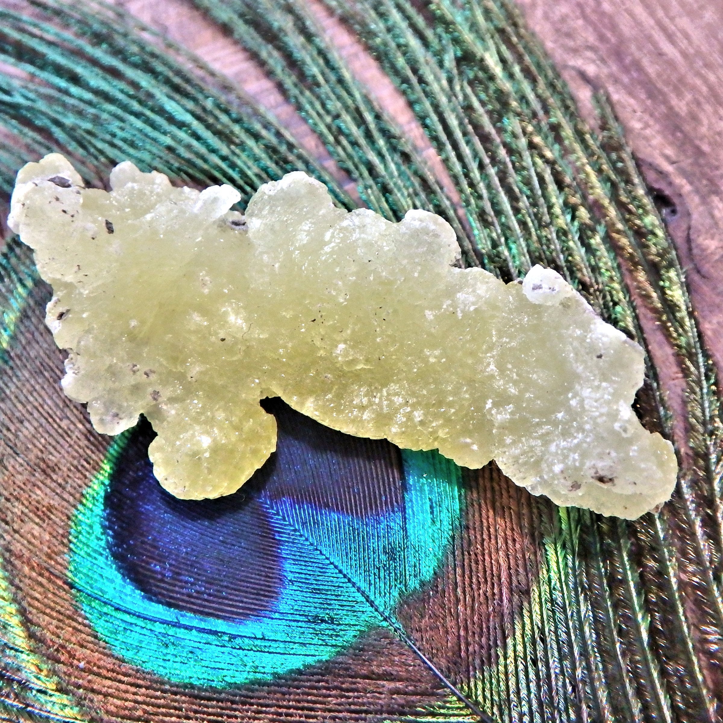 Uplifting Brucite Natural Collectors Specimen 1 - Earth Family Crystals