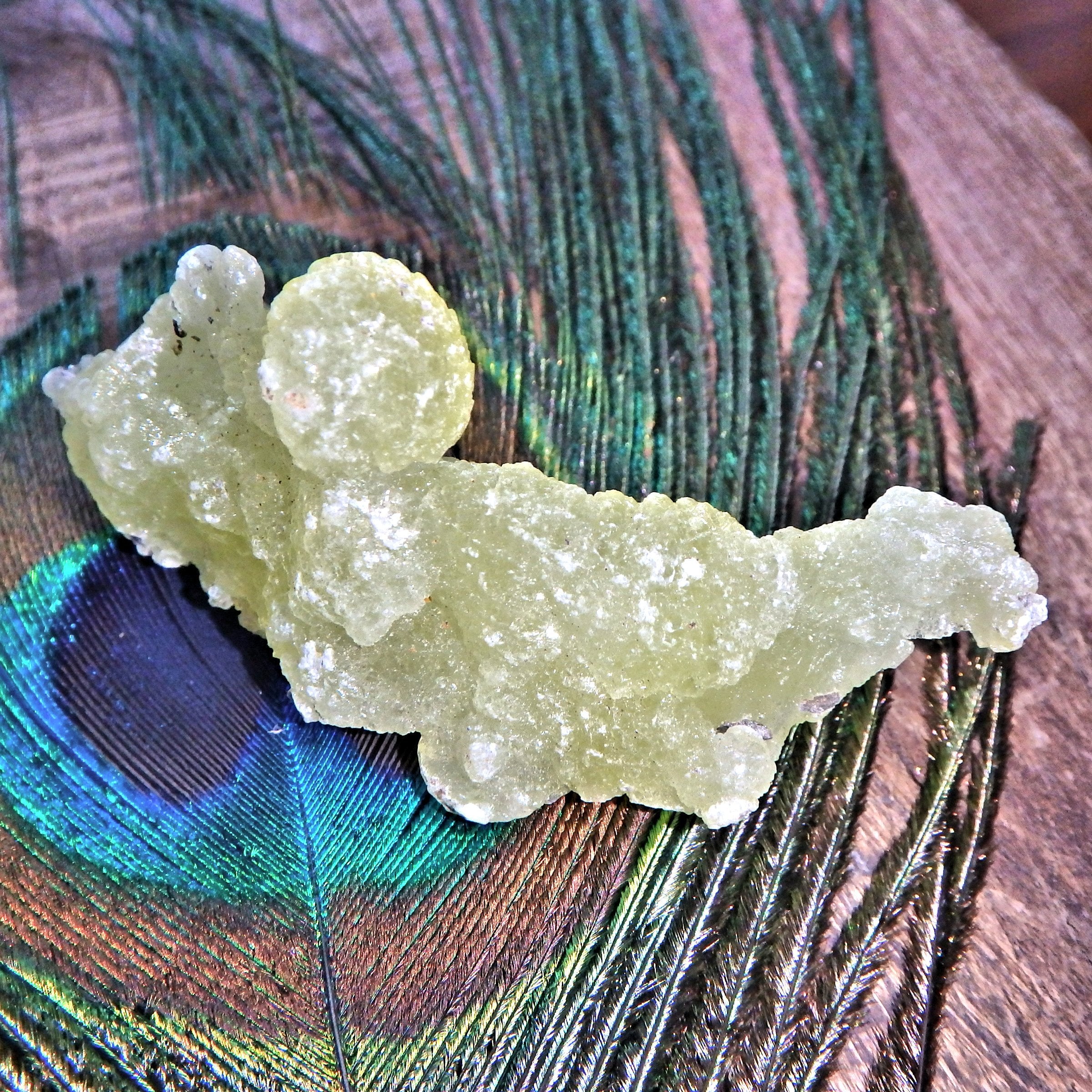 Uplifting Brucite Natural Collectors Specimen 1 - Earth Family Crystals