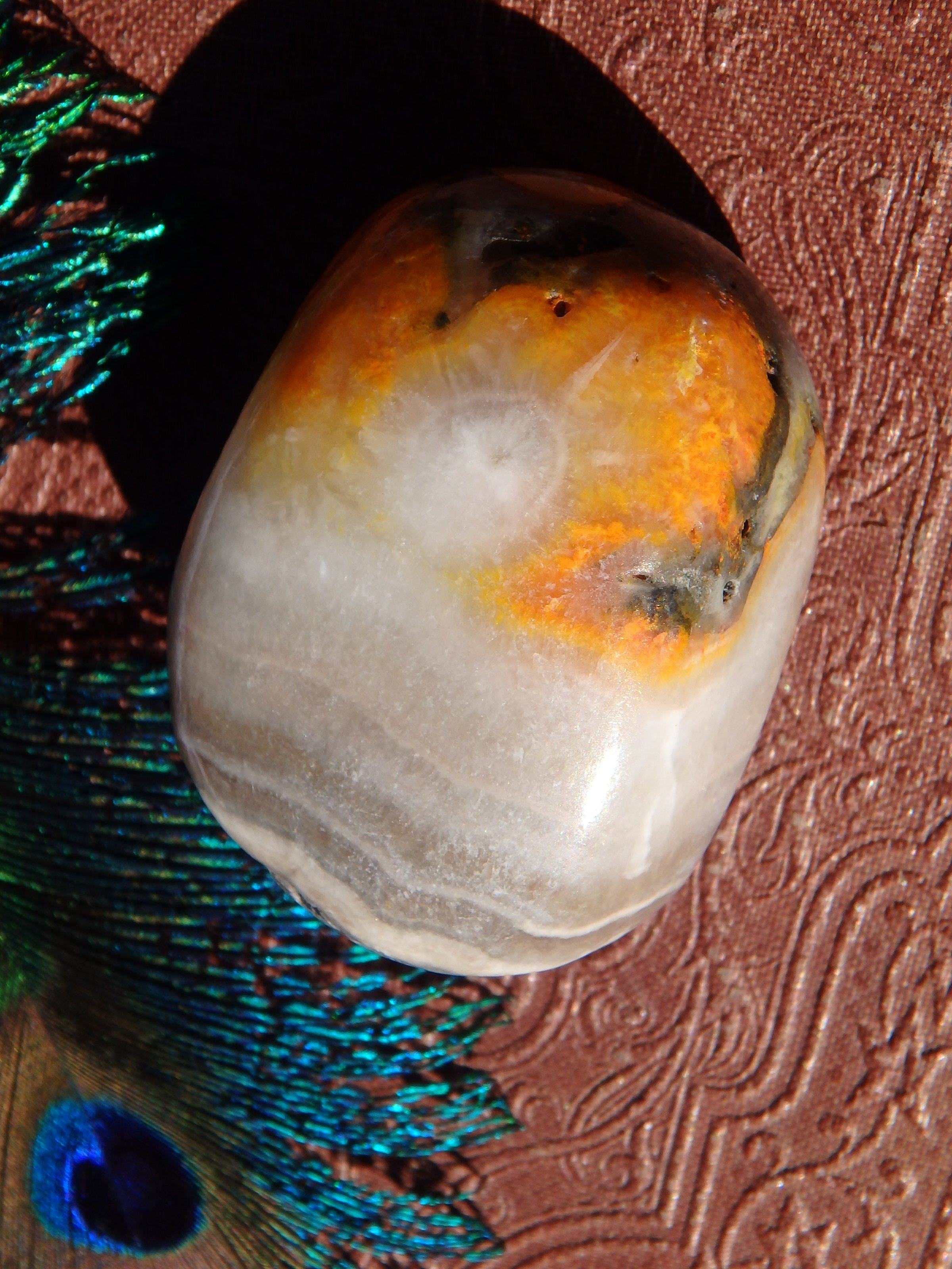 Awesome Patterns Bumble Bee Jasper Pocket Stone From Indonesia 1 - Earth Family Crystals