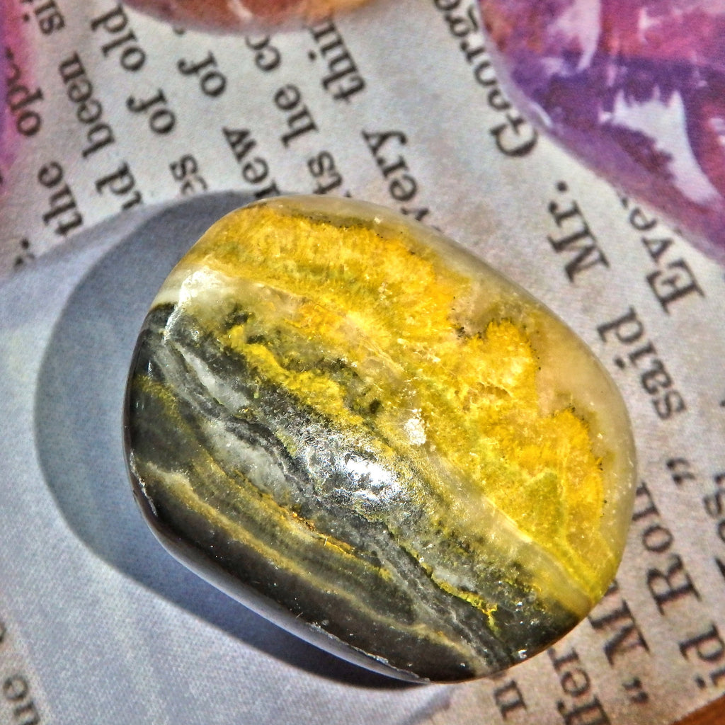 Golden Bumble Bee Jasper Polished Specimen 9 - Earth Family Crystals
