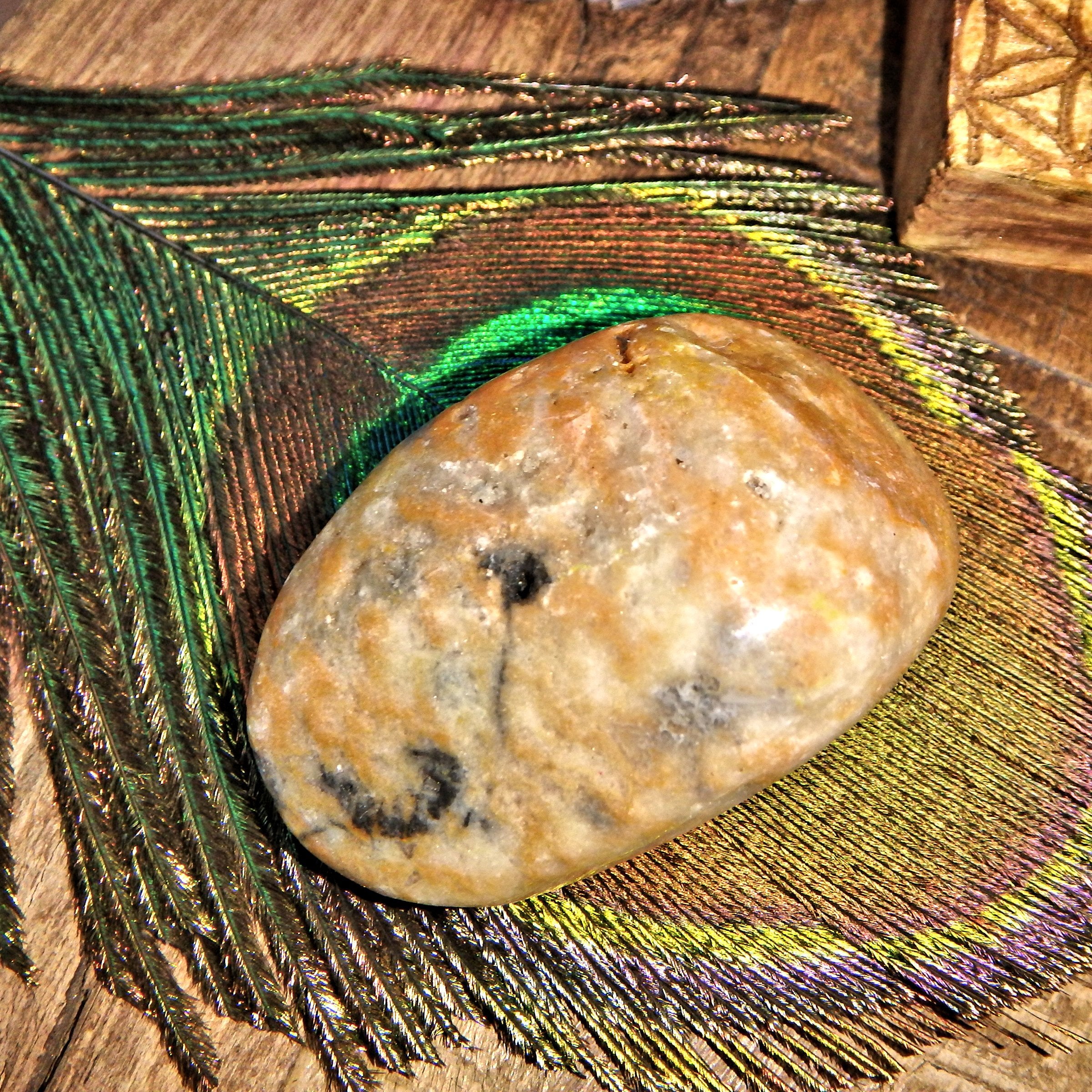 Golden Bumble Bee Jasper Polished Specimen 8 - Earth Family Crystals