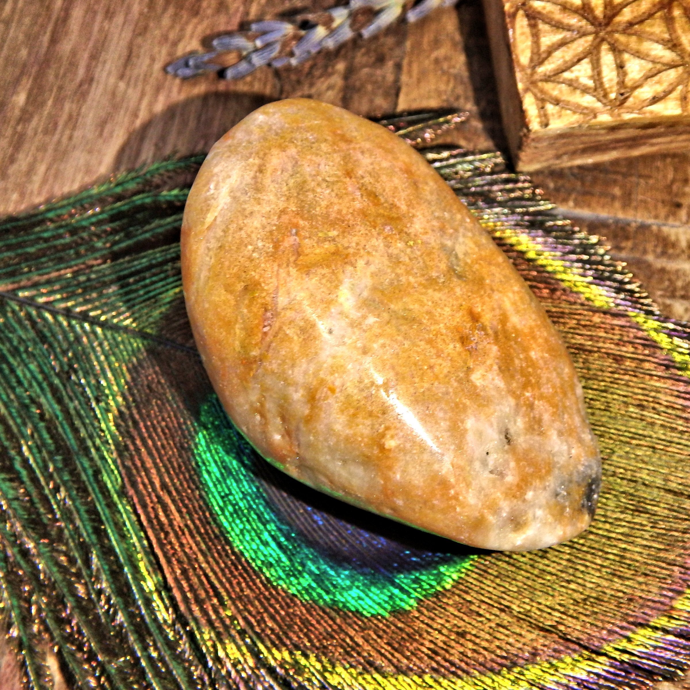 Golden Bumble Bee Jasper Polished Specimen 8 - Earth Family Crystals