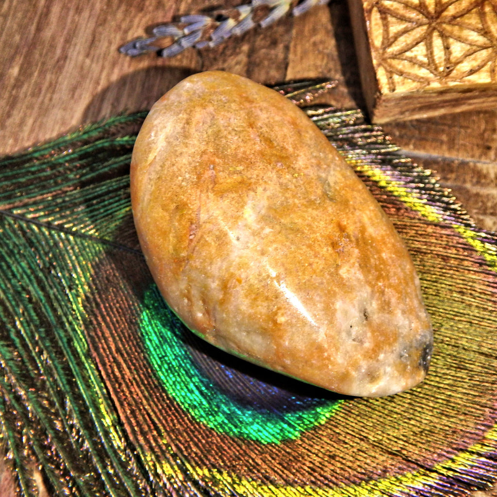 Golden Bumble Bee Jasper Polished Specimen 8 - Earth Family Crystals