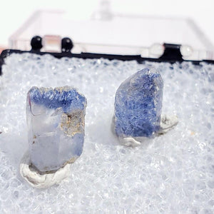 Set of 2 Rare Dumortierite & Quartz Mini Points From Brazil in Collectors Box #1